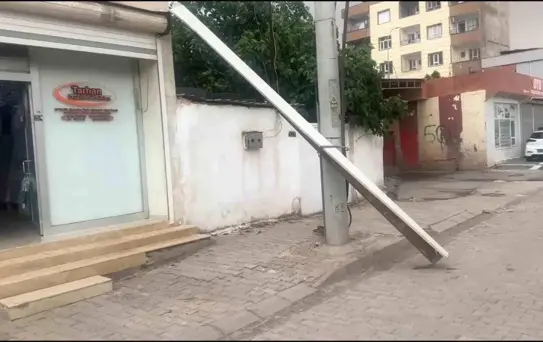 Ceylanpınar'da Fırtına Ağaçları Devrip Sürücülere Zor Anlar Yaşattı