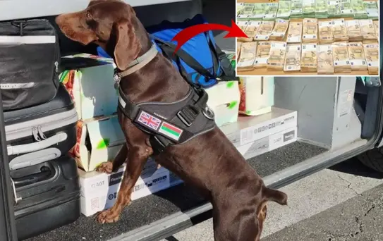 Tıra gizlenen 15 milyon lira dedektör köpekten kaçamadı