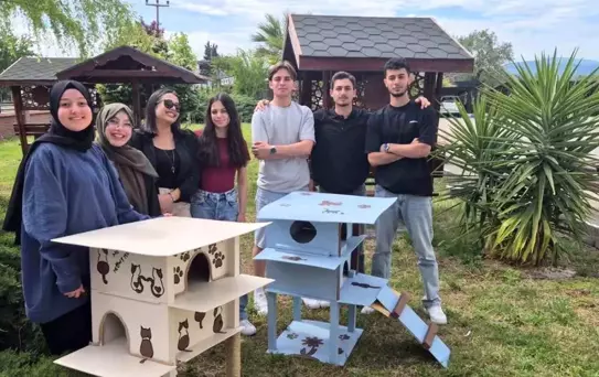 Öğrencilerden Sokak Kedilerine Kedi Evleri