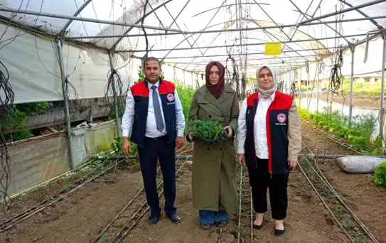 Kadın Üreticilerin Seralarına Ziyaret