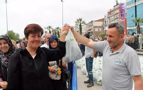Ereğli'de 350 Bin Sebze Fidesi Dağıtıldı