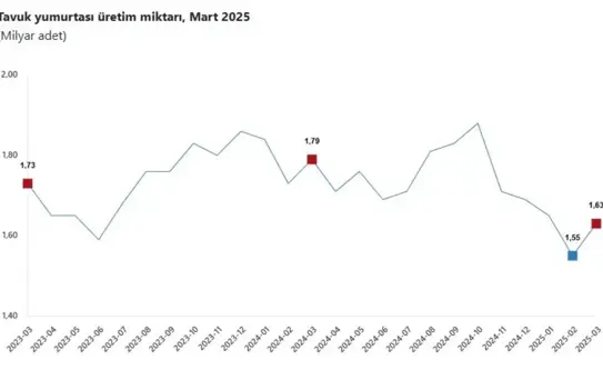 Mart'ta Tavuk ve Süt Üretimi Arttı