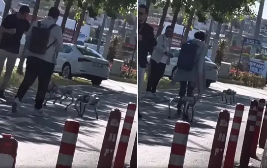 Görüntü İstanbul'dan! Tasma taktıkları robot köpekleri sokakta gezdirdiler
