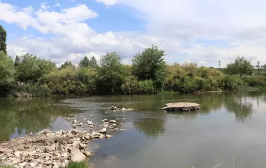 Dicle Nehri'nde Toplu Balık Ölümleri