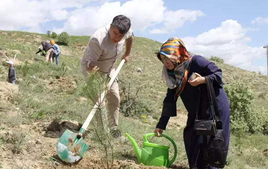 Sivas'ta 'Vefa Ormanı'na 535 kişinin anısına fidan dikildi