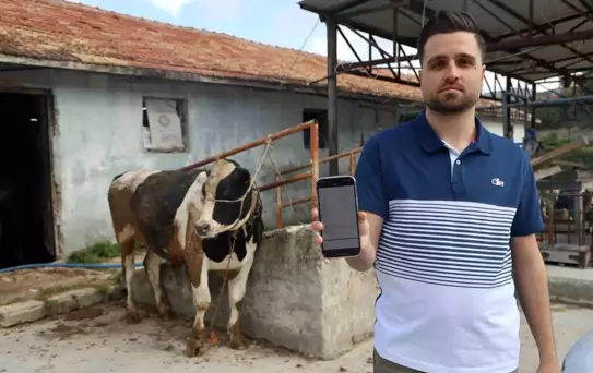 Kurbanlık Tosun Alırken 200 Bin TL Dolandırıldılar