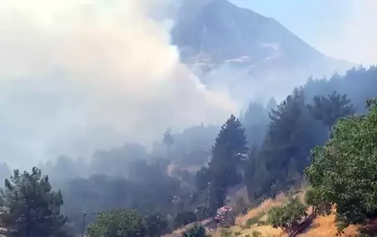Orman Yangınına Neden Olan Genç Hakkında Dava