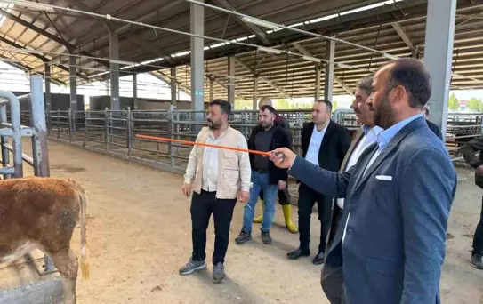 Patnos Belediye Başkanı Kurban Bayramı Hazırlıklarını İnceledi
