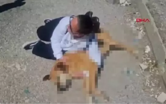 Hayvanseverlerden, belediye önünde 'ölü köpek' ile eylem