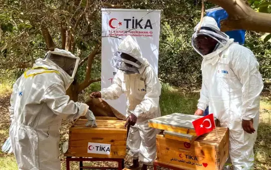 TİKA, Sudan'da Arıcılığa Destek Verdi