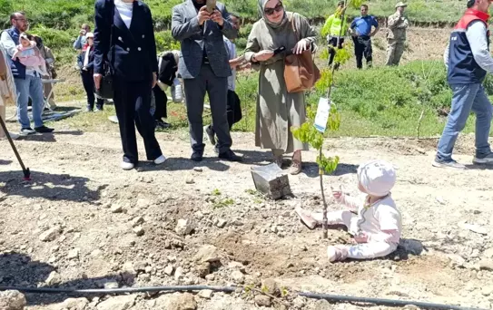 Tortum'da 'Yeni Doğan Bebekler Hatıra Ormanı' Etkinliği Düzenlendi