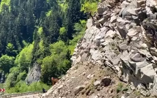 Giresun-Sivas Karayolunda Kayalar Temizleniyor