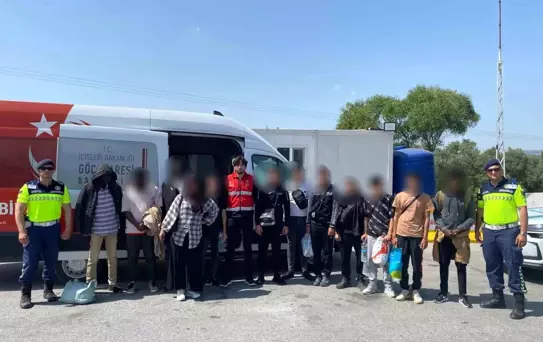 Aydın'da Düzensiz Göçmen Operasyonu
