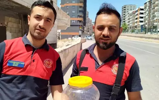 Şanlıurfa'da Mutfağında Yılan Bulunan Evde Paniğe Neden Oldu