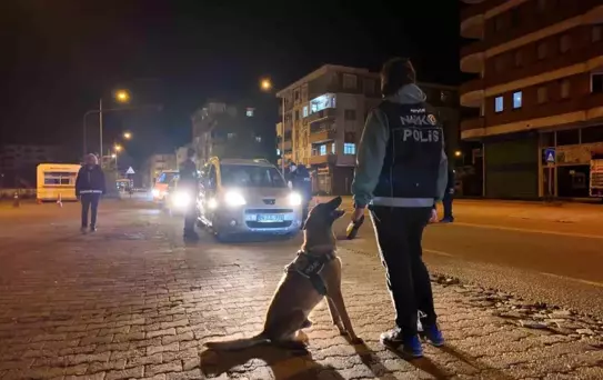 Artvin'de Narkotik Köpekle Uyuşturucu Denetimi
