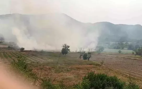 Bilecik'te Anız Yangını Kontrol Altına Alındı