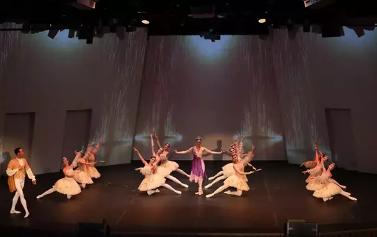 Bodrum Bale Festivali'nde 'Uyuyan Güzel' Sahnelendi