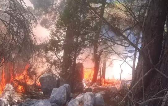 Aladağ'da Orman Yangını Kontrol Altında