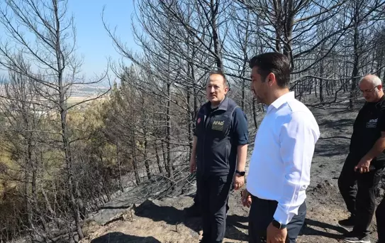 Çanakkale'deki Yangın İçin Afet Bölgesi Kararı