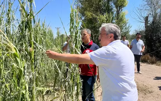 Afyonkarahisar'da Dolu Zararı Tespiti