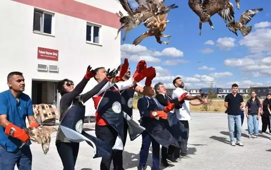 Doğaya 35 Yaban Kuşu Salındı