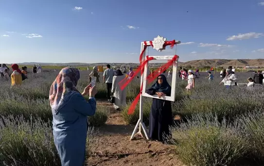 Aksaray'da Lavanta Bahçesi Açıldı
