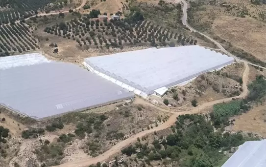 Aksu'da Yangın: Havadan ve Karadan Müdahale