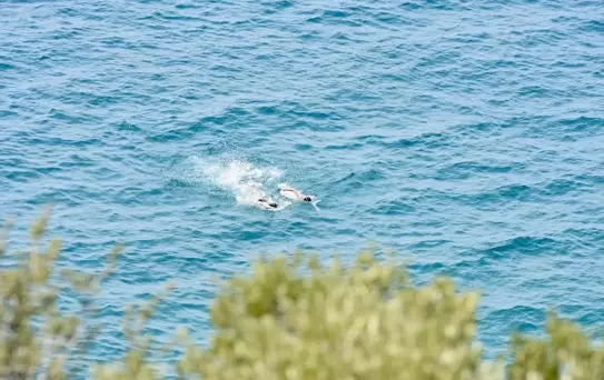 Antalya'da Nem ve Sıcaklık Tatilcileri Sahillere Çekti