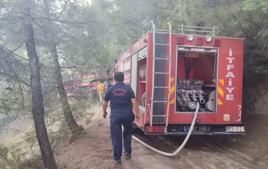 İvrindi'de Orman Yangını Söndürüldü