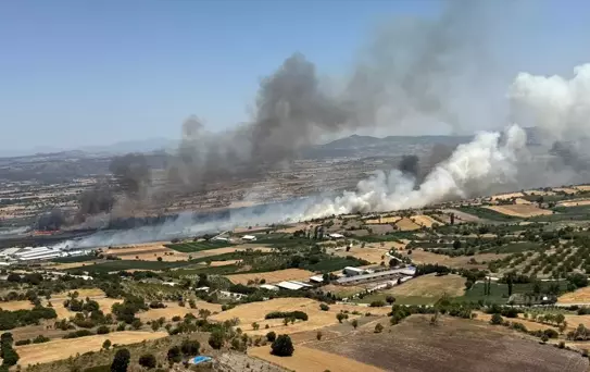 Balıkesir'de Tarım Arazisinde Yangın