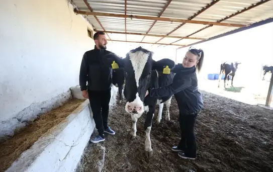 Belçika'dan Kırklareli'ne Göç Eden Çift Hayvancılığa Başladı