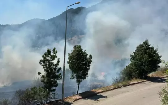 Beyşehir'de Yangın Kontrol Altına Alındı