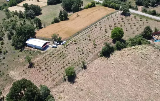 İpek Böceği Yetiştiriciliğinde Başarı Örneği