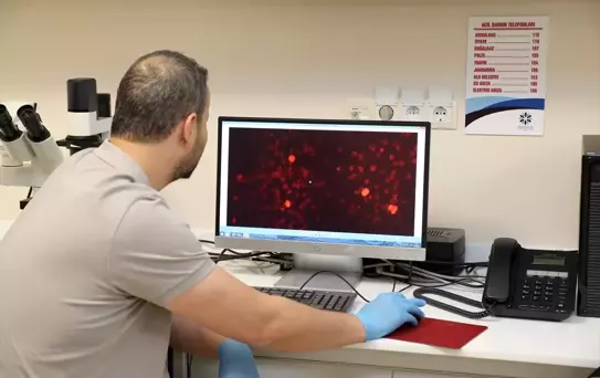 Alzheimer'a Erken Teşhis Projesi