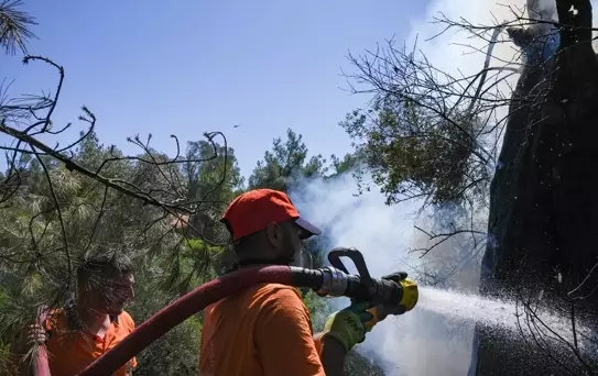 Ormancılar İzmir'deki Yangınla Mücadele Ediyor