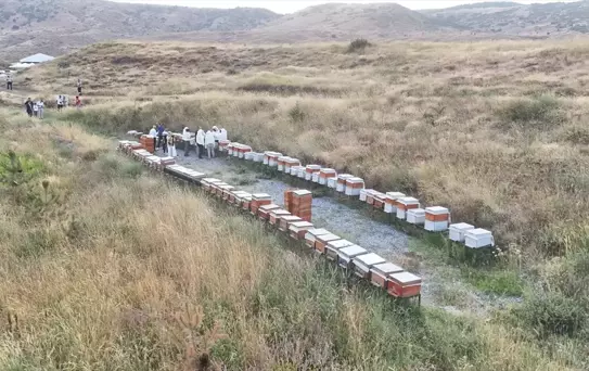 Bitlis Eren Üniversitesi'nde Bal Hasadı