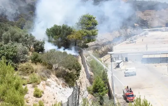 Bodrum'da Orman Yangını Kontrol Altında