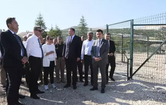 Burdur'da Sahipsiz Hayvanlar için Rehabilitasyon Tesisi Açıldı