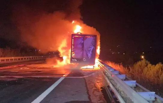 İstanbul-İzmir Otoyolu'nda Kamyon Yangını