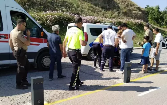 Çanakkale'de akülü engelli aracıyla gezen kişi başıboş köpeklerden korkup direğe çarptı