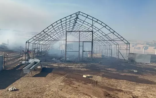 Çerkeş'te Yangın: 100 Dekar Arazi Zarar Gördü