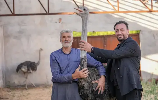 Hüdhüd'e Eş Bulundu