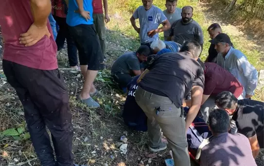 Yığılca'da Tarım Aracı Devrildi: 4 Yaralı