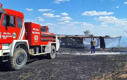 Edirne'de Yangın: 10 Dekar Buğday Tarlası Yandı