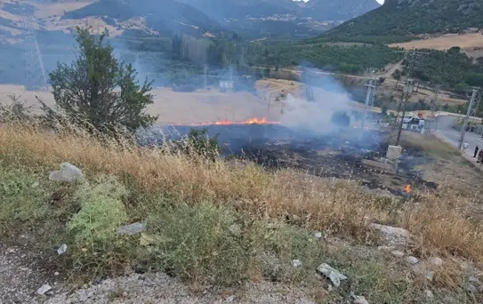 Eğirdir'de Boş Arazide Yangın