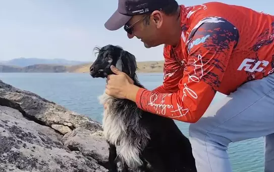 Keban Barajı'nda Keçi Yavrusu Kurtarıldı