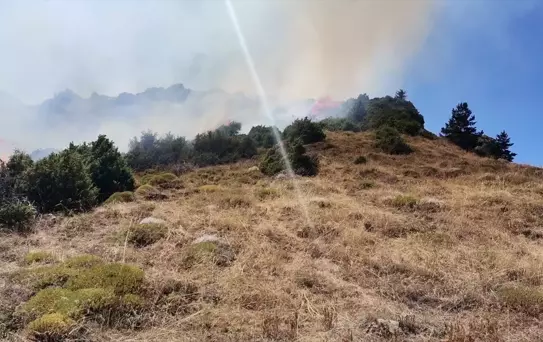 İspir'de örtü yangını söndürüldü