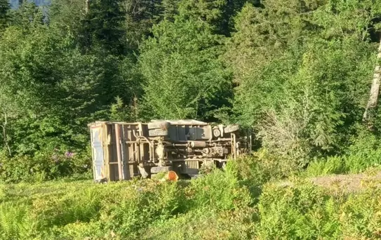 Espiye'de Kamyon Devrildi, Sürücü Yaralandı