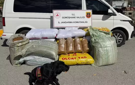 Torul'da 530 Kilogram Kaçak Tütün Ele Geçirildi