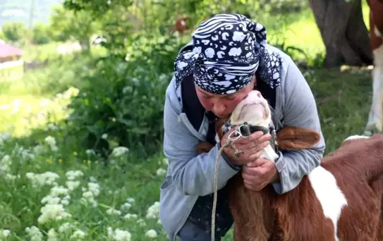 Gürcistanlı Nino, Erzincan'a Değer Katıyor